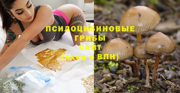 стаф Балахна